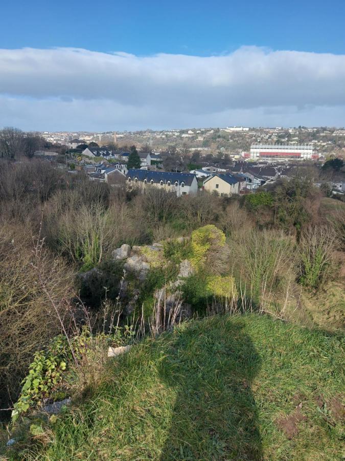 Blackrock Carole Ville Guesthouse Cork Exterior photo